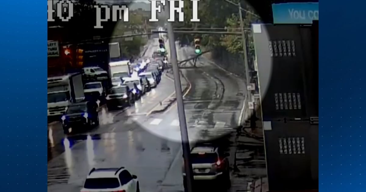 Tree partially falls on vehicle during storm in Pittsburgh
