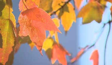 Cool nights, warmer days continue through end of October – WPXI