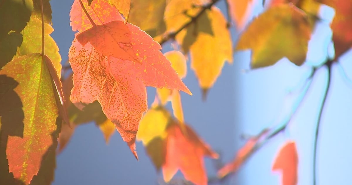 Cool nights, warmer days continue through end of October – WPXI
