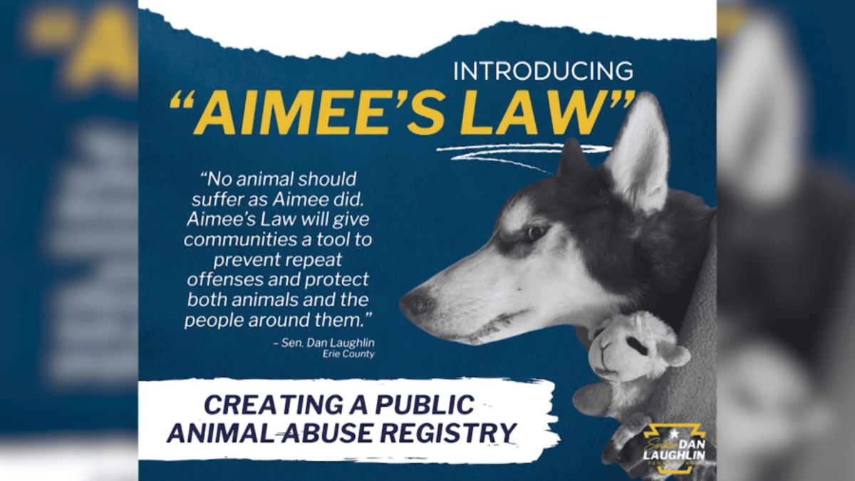 Aimee’s Law advances toward Pennsylvania Senate after committee vote