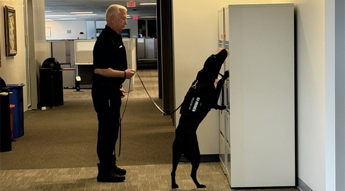 Paws for Safety: Jefferson Health K-9s Dexter and Cisco Host Training Seminar