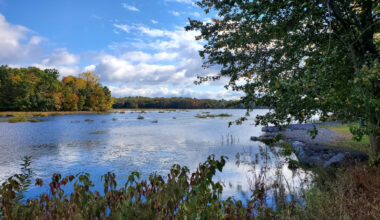 An Hour From Allentown Is Pennsylvania's Artificial Lake Paradise With Wetland Trails, Fishing, And Boating