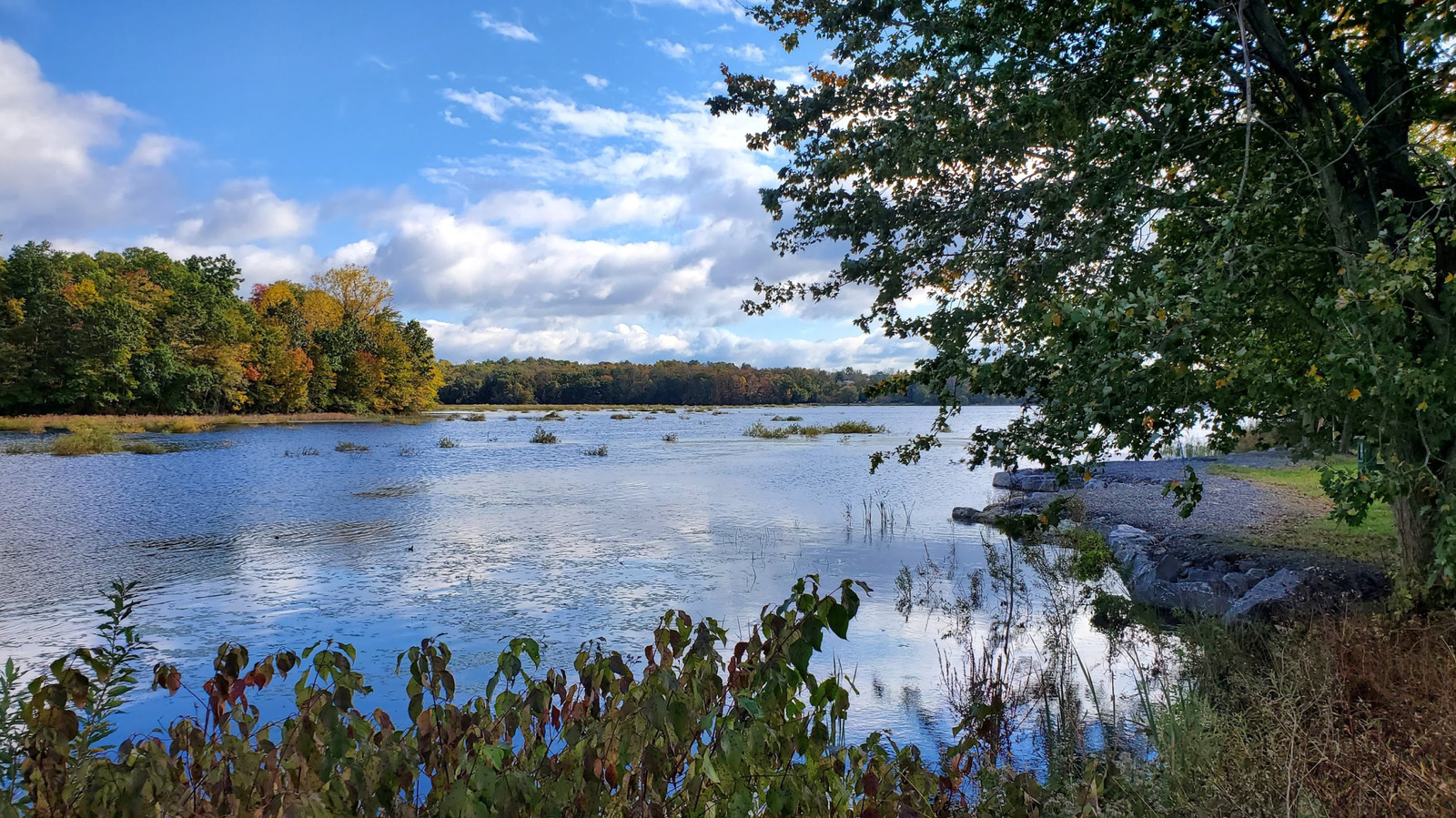 An Hour From Allentown Is Pennsylvania's Artificial Lake Paradise With Wetland Trails, Fishing, And Boating