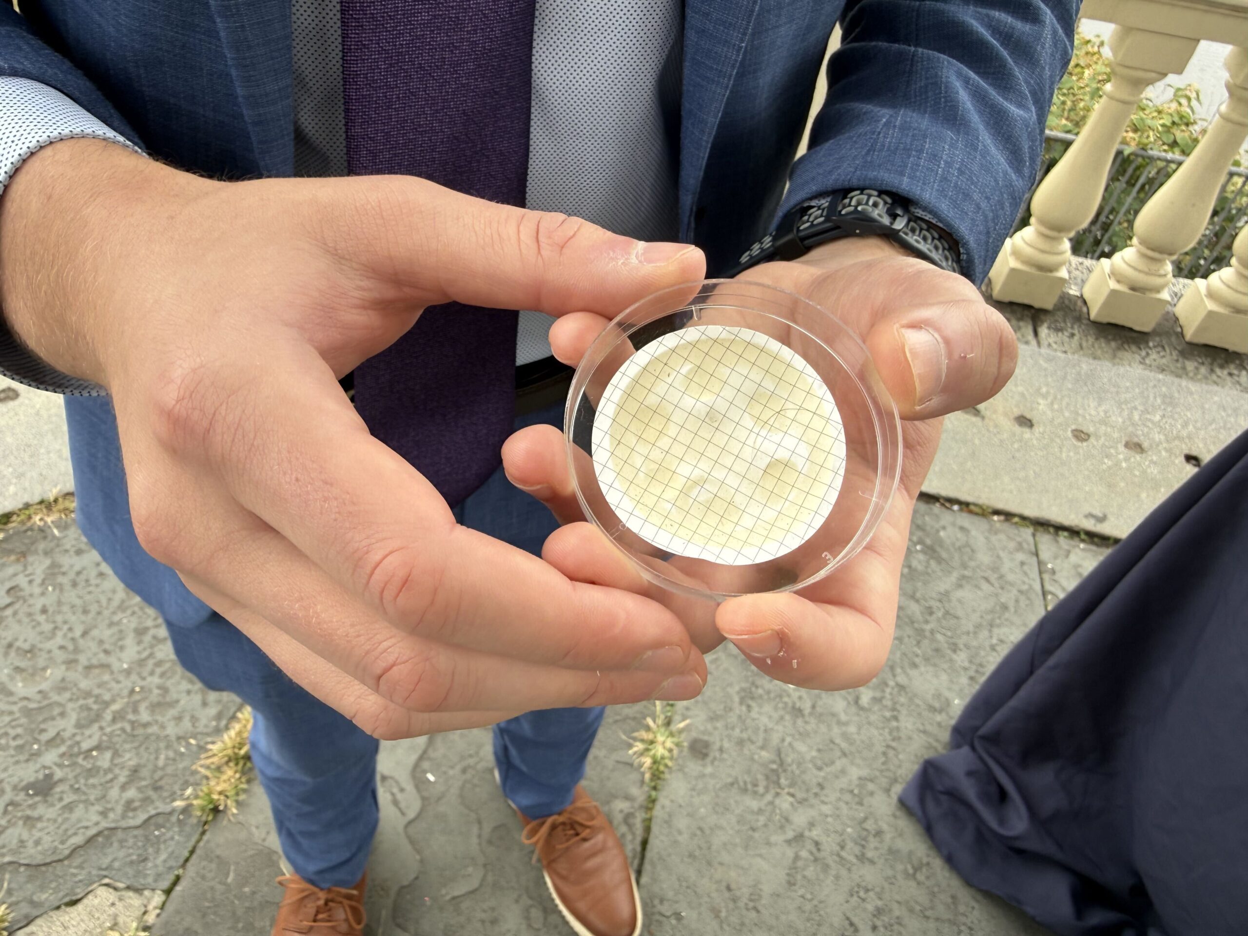 A close-up view of a sample of water from the Delaware River Watershed showing microplastic particles.
