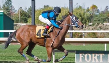 Momaxie Named Fort Erie Horse of the Year