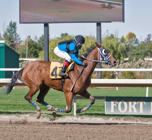 Momaxie Named Fort Erie Horse of the Year