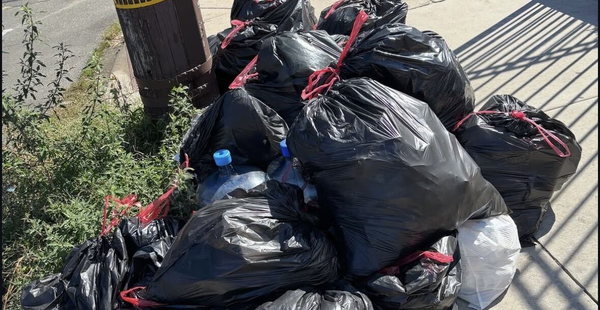 Trash bagged and collected by volunteers