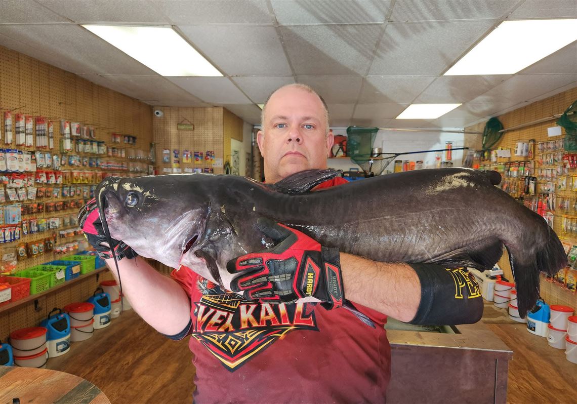 Pa. record-setting channel catfish: How a Munhall angler made the catch on the Allegheny River near Sixmile Island