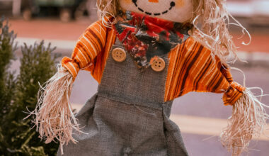 Fall Fun Doesn’t End With Halloween: Craft Hall Hosts “Build Your Own Scarecrow” With All Materials Included – Wooder Ice