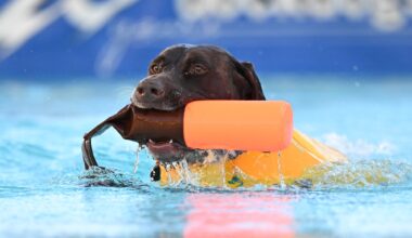 New pet store to open at Promenade Saucon Valley