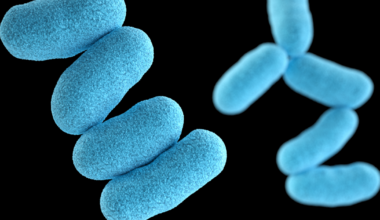 Erie County Health Department assures near-zero risk to public in reported local diphtheria case