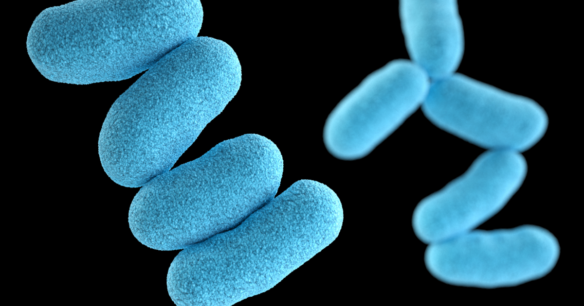 Erie County Health Department assures near-zero risk to public in reported local diphtheria case