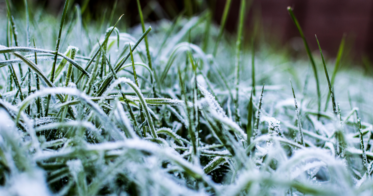 First frost advisory of the season issued for Erie County