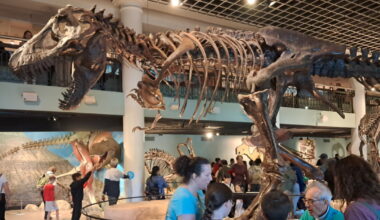 Just short of its 200th birthday, a landmark natural history museum shuts down