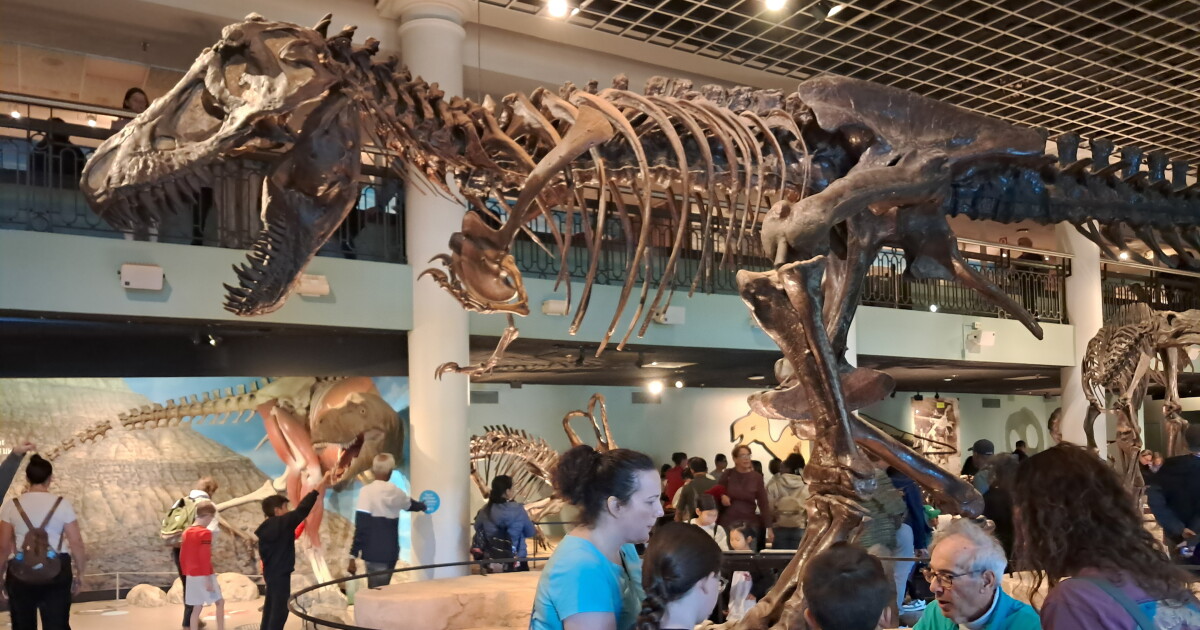 Just short of its 200th birthday, a landmark natural history museum shuts down