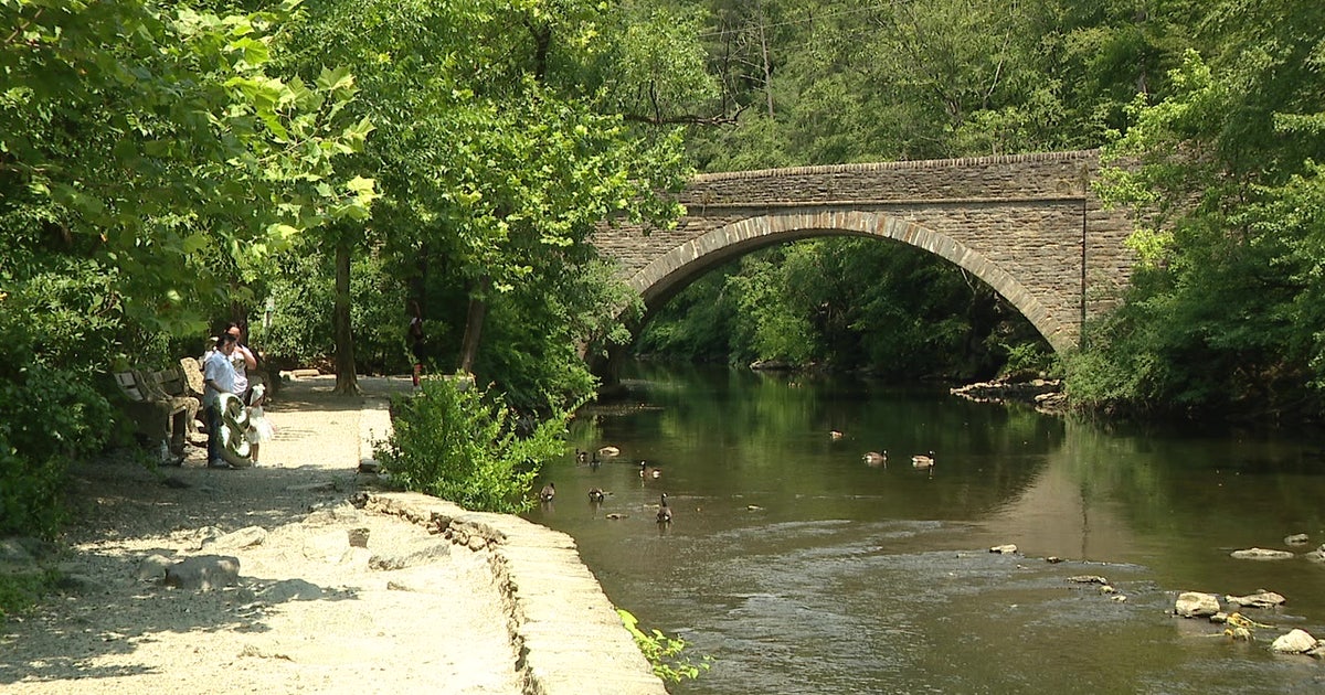 'Do Not Eat' advisory issued for all fish in Philadelphia-area creek
