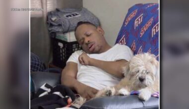 Companion dog taken outside corner store; North Philadelphia family pleads for help