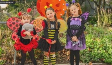 Boo at the Zoo returns to Philadelphia with extended dates, seasonal activities for families