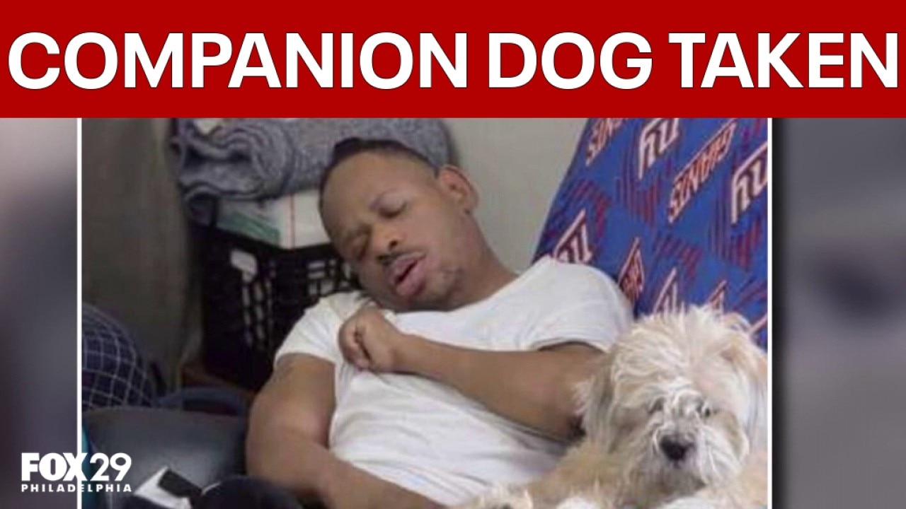 North Philadelphia family searching for stolen companion dog