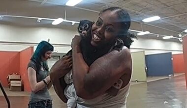 Monkey got loose in a North Texas Spirit Halloween store before returning to owner, police say