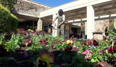 Step into serenity at the Fort Worth Botanic Garden Japanese festival – NBC 5 Dallas-Fort Worth