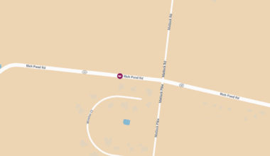 Bowling Green, KY – Head-On Crash Injures Multiple on Richpond Rd Near Plano