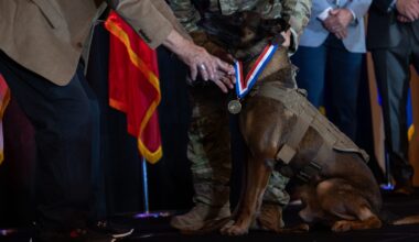 U.S. War Dogs marks 25 years of supporting military K-9 teams