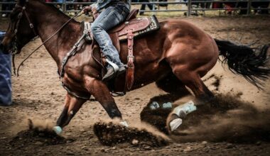 East Texas Rodeo Nominated for PRCA Rodeo of the Year