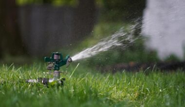 Lubbock Sprinkler Laws Every Citizen Must Know