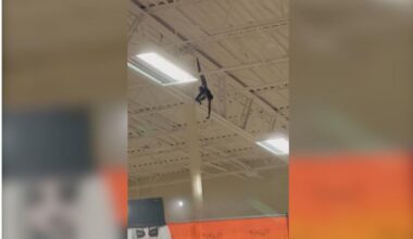 Pet Monkey Swings from Rafters in Plano Spirit Halloween