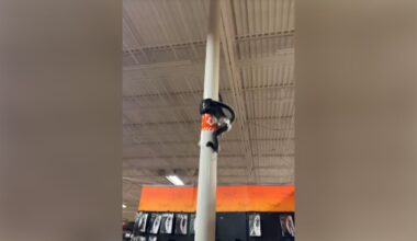 Monkey on the loose at Plano Spirit Halloween store – NBC 5 Dallas-Fort Worth