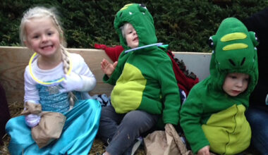 I’ll take the fall | Sachse News