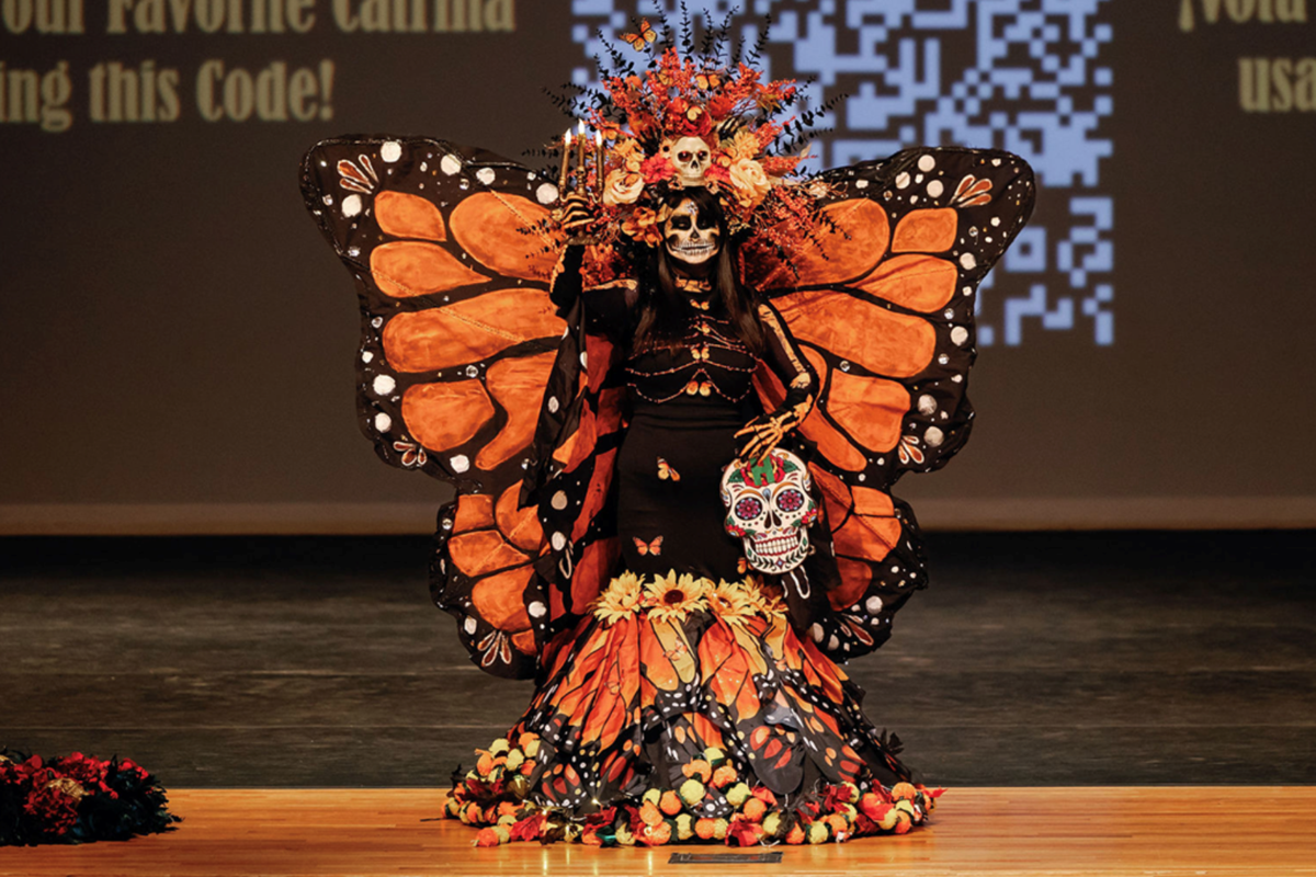 Celebrate Día de Muertos In Plano, Frisco, Dallas And Beyond - Local Profile