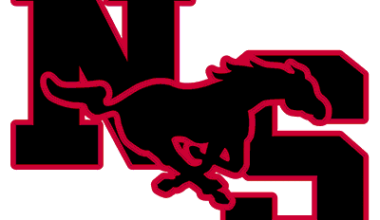 Sam Walker's Big Game Can't Quite Lead North Shore over Plano East