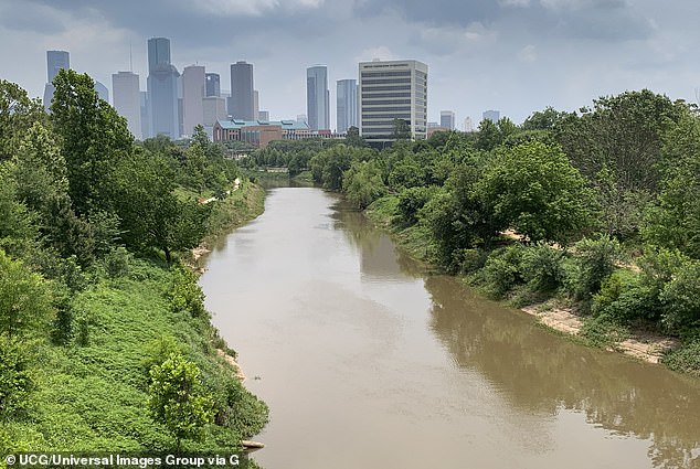 The majority of the bodies found in Houston waterways since 2017 were in the Buffalo Bayou (pictured)
