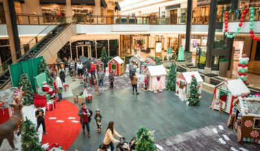 Top 10 Things To Do This Weekend In Plano, Frisco, Celina And Beyond [Nov. 14-16, 2025] - Local Profile