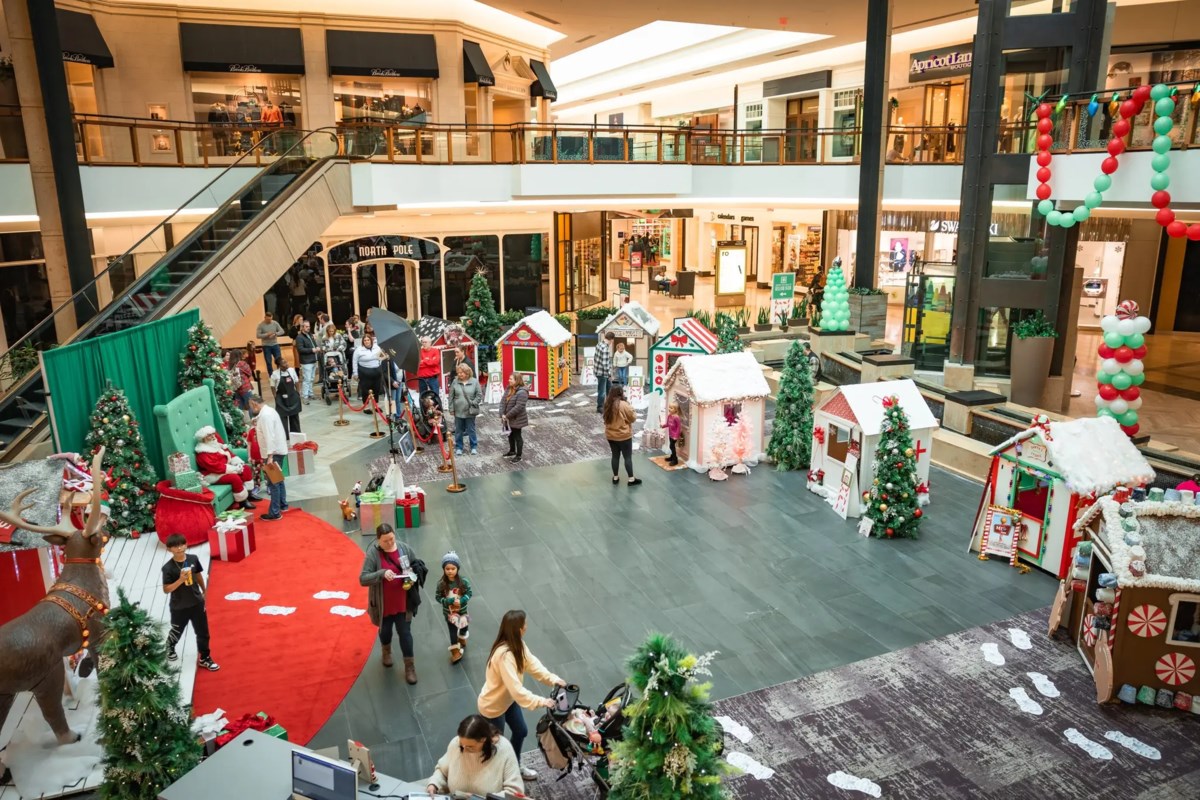 Top 10 Things To Do This Weekend In Plano, Frisco, Celina And Beyond [Nov. 14-16, 2025] - Local Profile