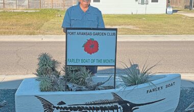 November residential planter - Port Aransas South Jetty
