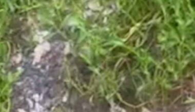 Investigating poop? Residents in Houston are not pleased about the sewage issues they're having