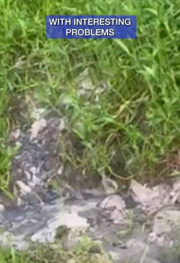 Investigating poop? Residents in Houston are not pleased about the sewage issues they're having