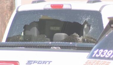 Woman shot after driver pulls out shotgun during road rage incident over honked horn