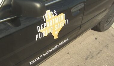 31 undocumented immigrants arrested in Texas operation
