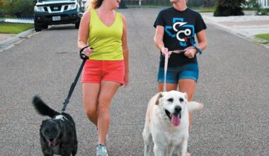 Out for a walk - Port Aransas South Jetty