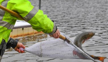 Trout fishing season in Texas