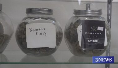 THC-derived hemp ban sparks concern among Corpus Christi shop owners