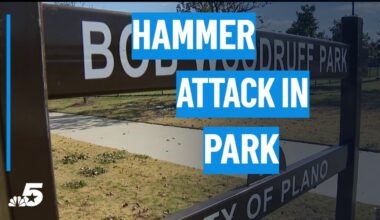 Jogger attacked with hammer in Plano park; teen suspect in custody – NBC 5 Dallas-Fort Worth