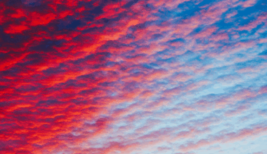 County Herald Weather Center