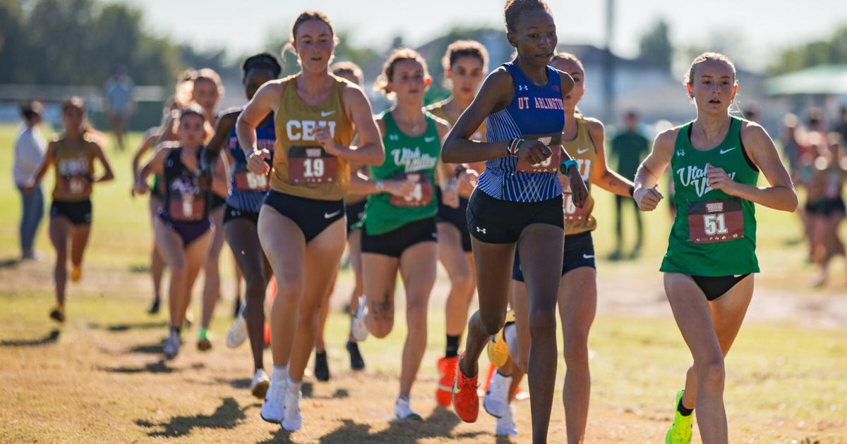 UTA cross-country teams place 10th in NCAA South Central Regional | Sports
