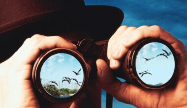 Inside America's Birdiest City - InsideHook