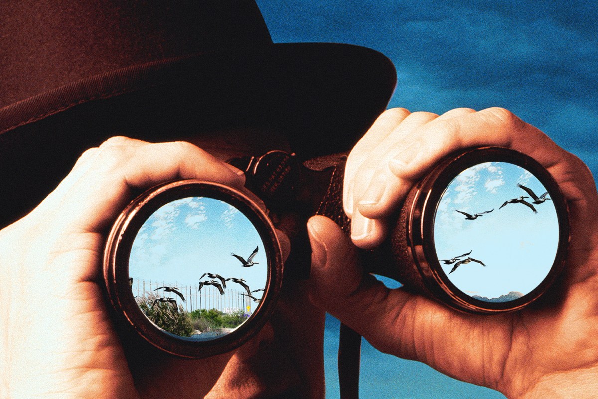 Inside America's Birdiest City - InsideHook